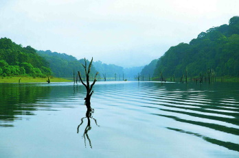 Charming Kerala