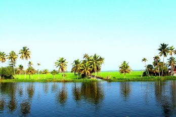 Exotic Kerala